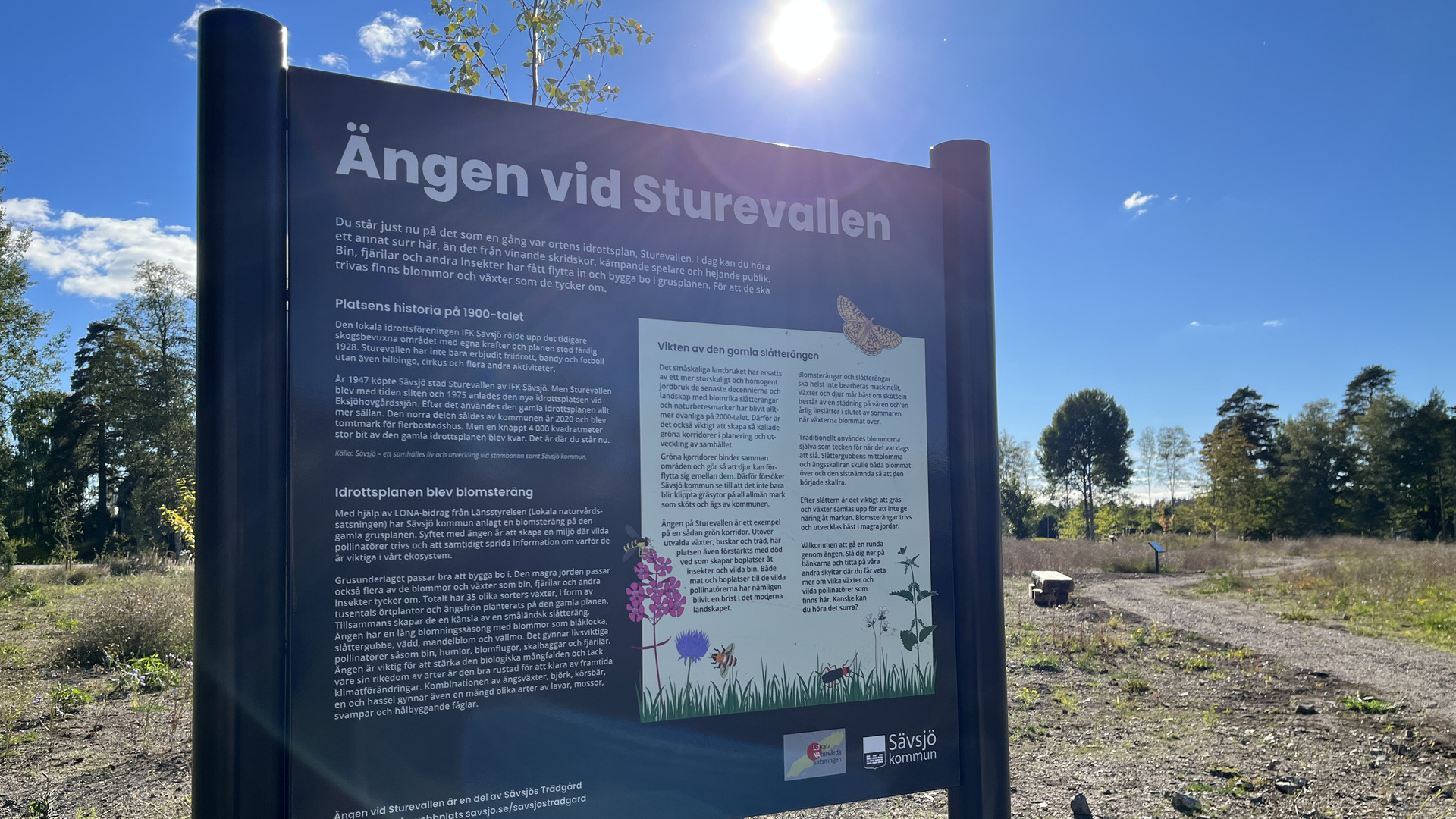 Informationstavla på ängen vid Sturevallen