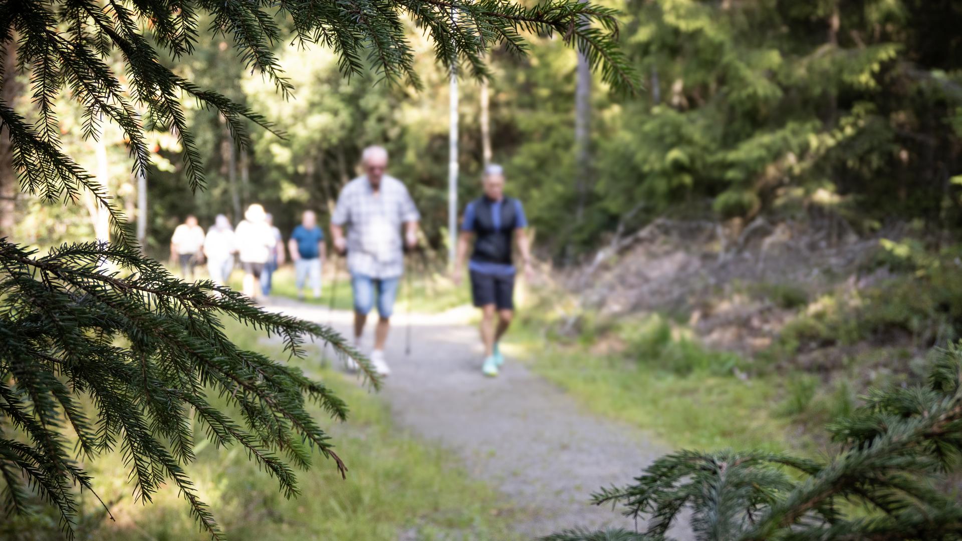 promenad med hälsocenter