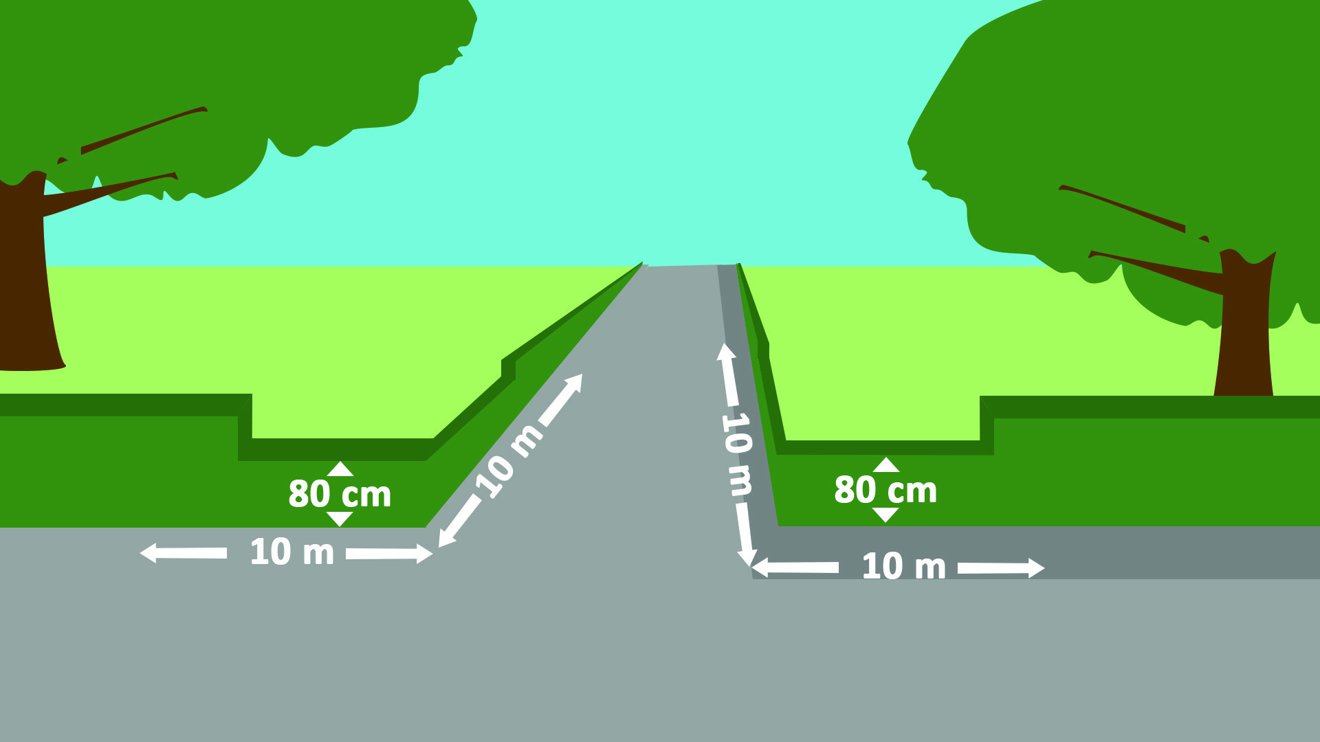 Illustration som visar gata och häckar.