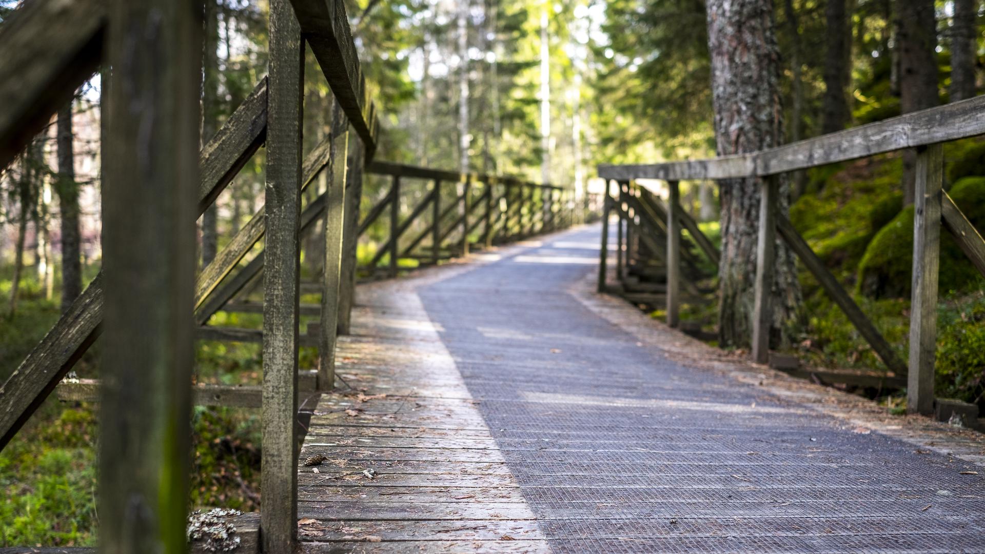 Träbro runt Eksjöhovgårdssjön