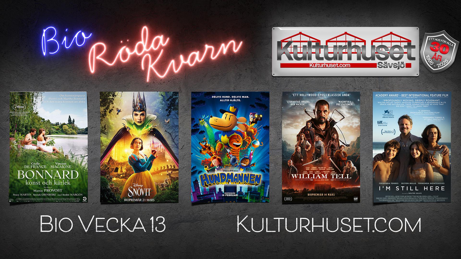 bioprogram vecka 13