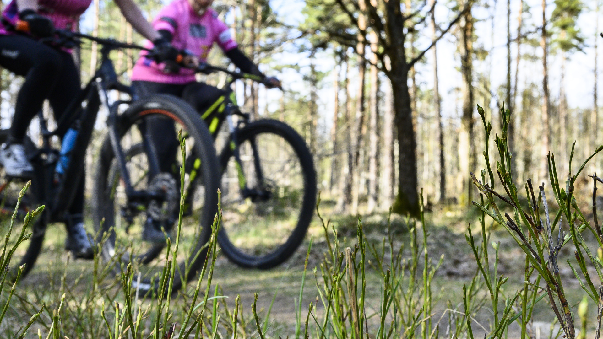 Jenny Almqvist och Anna Frej cyklar i skogen i Vrigstad.