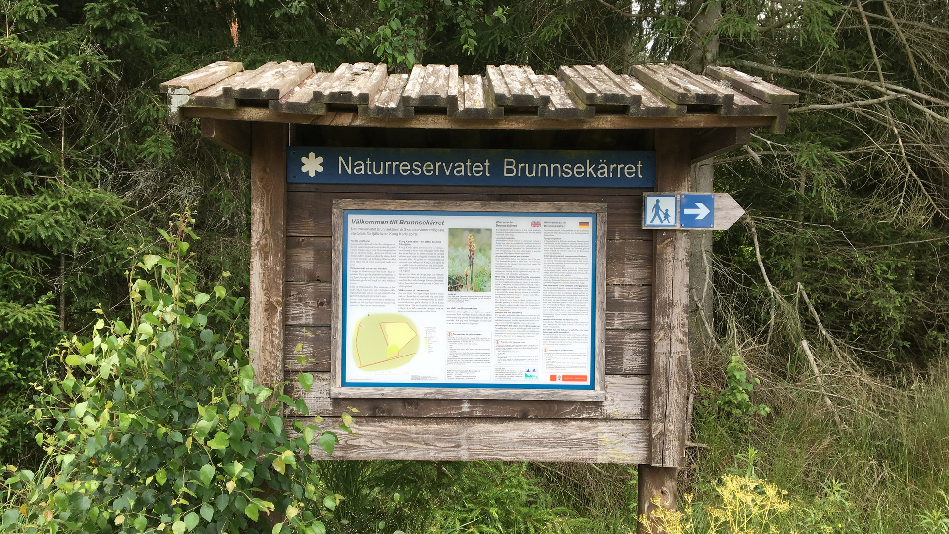 Brunnsekärrets naturreservat