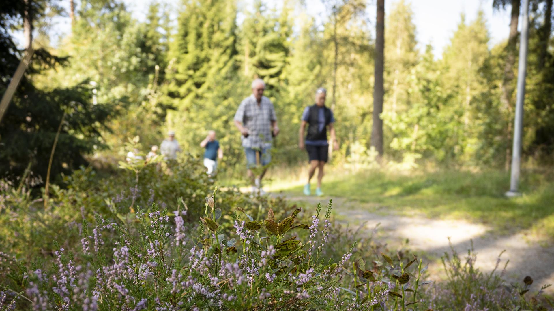 promenad med hälsocenter