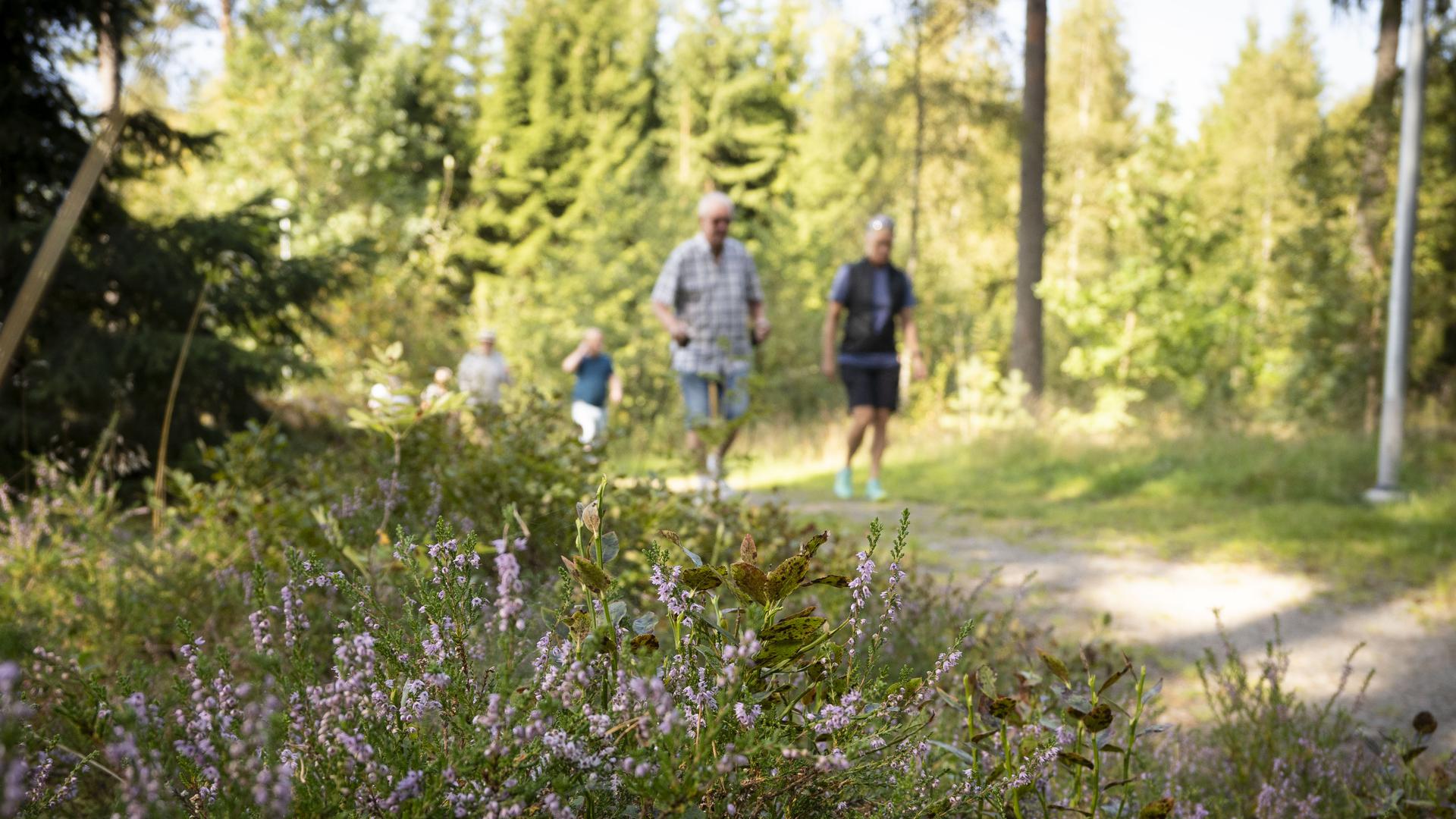promenad med hälsocenter