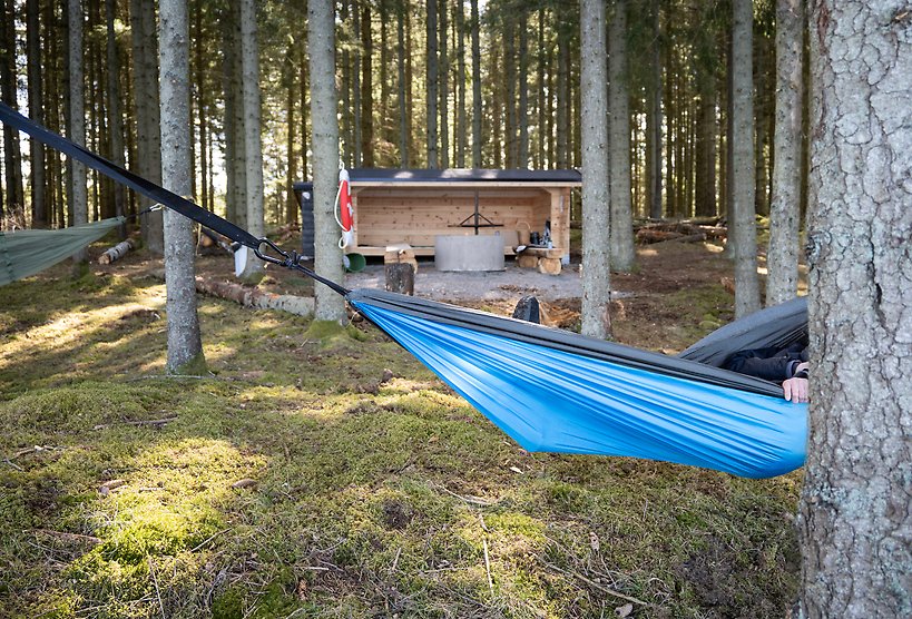 Hängmatta mellan träd i skog vid vindskydd