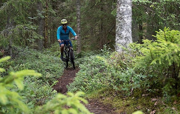 En man cyklar mountainbike i skogen.
